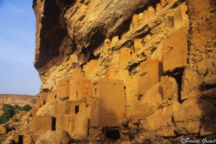  Les vestiges d'habitations Tellem Xième siècle, qui servent désormais de tombeaux.