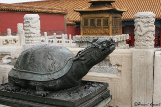  Dans le Tao, philosophie chinoise. Cinq animaux montent la garde autour de la maison, c'est le Feng Shui de la forme ou de la protection: La tortue noire symbolise la protection car elle est dotée d'une solide coquille, elle caractérise la stabilité. elle est associée au nord, à l'élément eau, à l'hiver et au noir.